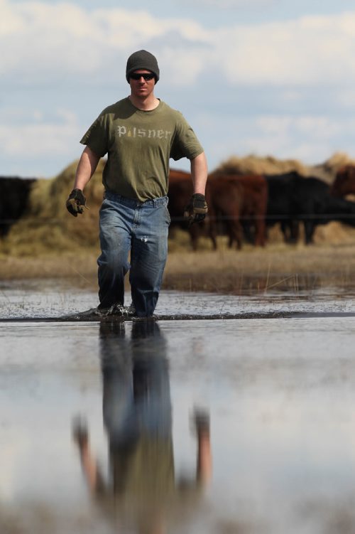 RUTH BONNEVILLE /  WINNIPEG FREE PRESS

Matt Van Steelandt a rancher in the Lauder area of southwestern Manitoba tends to his bulls that are surrounded in flood water on his farm.  He uses his quad to get through the water on his land to get to them.  
See Randy Turner  Flooding story.


April 12, 2017