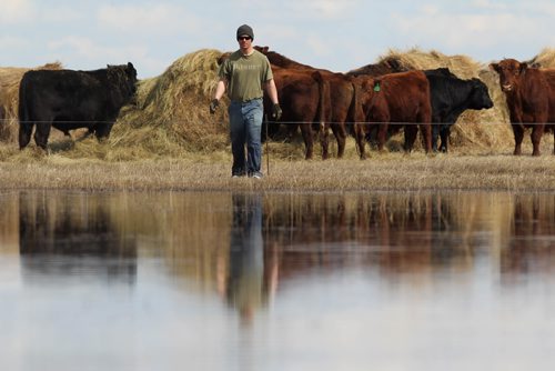 RUTH BONNEVILLE /  WINNIPEG FREE PRESS

Matt Van Steelandt a rancher in the Lauder area of southwestern Manitoba tends to his bulls that are surrounded in flood water on his farm.  He uses his quad to get through the water on his land to get to them.  
See Randy Turner  Flooding story.


April 12, 2017