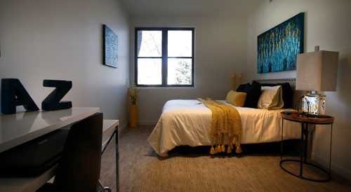 WAYNE GLOWACKI / WINNIPEG FREE PRESS

Homes. The infill condo project at 218 Enfield Crescent in St. Boniface. The second bedroom in the main floor condo.     Todd Lewys story April 13 2017