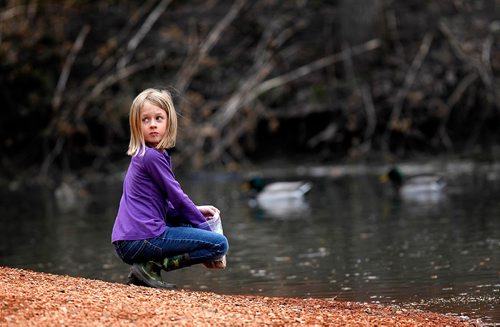 PHIL HOSSACK / WINNIPEG FREE PRESS  -  WEATHER - STAND-UP Ryann Sahaidak looks over her shoulder Friday afternoon in Kildonan Park while welcoming recently arrived  ducks near the Witches Hut. A cloudy and cool morning turned into a sunny warm evening....the forecast for tomorrow is????  -  April 14, 2017