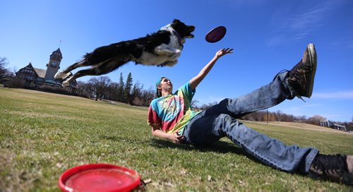TREVOR HAGAN / WINNIPEG FREE PRESS
Dustin Dolinski training his dog, Doolie, a Bordie Collie/Australian Shepherd cross, for Canadian Disc Dog Association Trials, in Assiniboine Park in Assiniboine Park, Saturday, April 15, 2017. 
