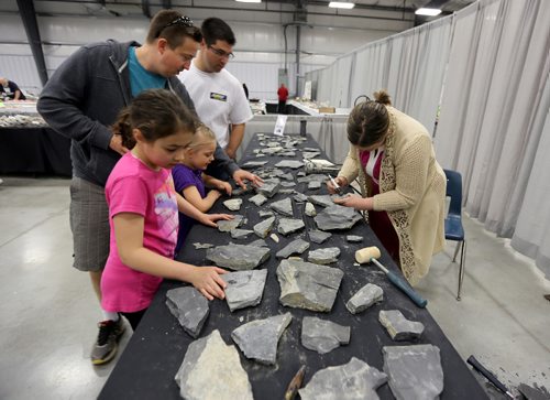 TREVOR HAGAN / WINNIPEG FREE PRESS
Melissa Robak excavates a 550 million year old trilobite fossil from shale. Trilobites are a group of extinct marine animals. The Silver Cove gem and rock show at the Red River Exhibition Grounds, Saturday, April 15, 2017. The show wraps up Sunday.
