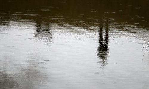 TREVOR HAGAN / WINNIPEG FREE PRESS
Reflection of a man walking his dog in the flooded waters of Omands Creek near where it meets the Assiniboine River, Sunday, April 16, 2017.