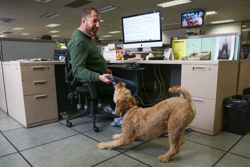 MIKE DEAL / WINNIPEG FREE PRESS
Jeff Slusky and his dog Griffin in the Winnipeg Free Press newsroom.
170420 - Thursday, April 20, 2017.