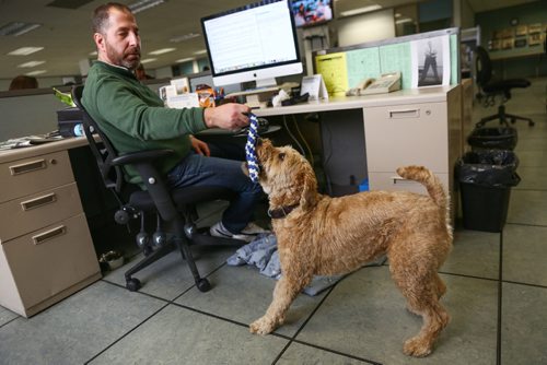 MIKE DEAL / WINNIPEG FREE PRESS
Jeff Slusky and his dog Griffin in the Winnipeg Free Press newsroom.
170420 - Thursday, April 20, 2017.