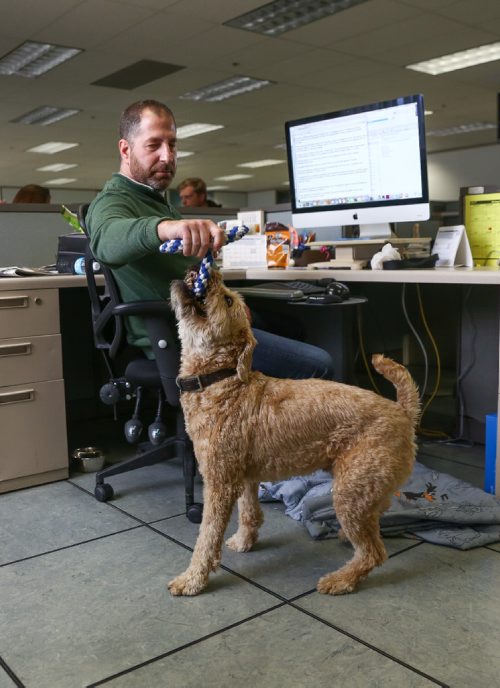 MIKE DEAL / WINNIPEG FREE PRESS
Jeff Slusky and his dog Griffin in the Winnipeg Free Press newsroom.
170420 - Thursday, April 20, 2017.