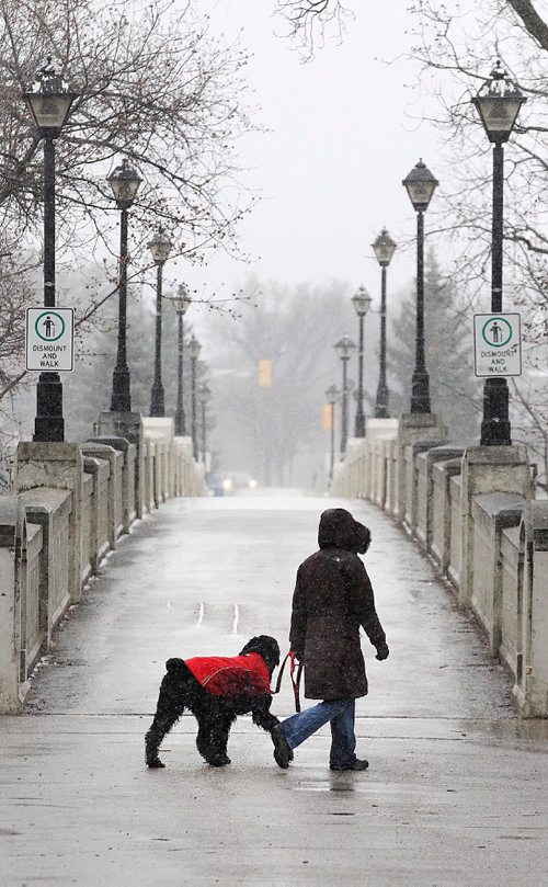 PHIL HOSSACK / WINNIPEG FREE PRESS  -  SAY IT AIN'T SO.....With south eastern Manitoba expecting up to 30 cm of snow an afternoon walker and her faithfull red caped companion venture out in the increasing snowfall near Assiniboine Park Monday afternoon. -  April 24,  2017