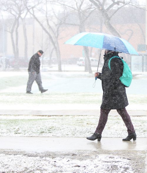 WAYNE GLOWACKI / WINNIPEG FREE PRESS

Dina Ankudinova heads into the snow and wind past Central Park Monday. She arrived from Kazakhstan last summer was surprised how varied spring weather can be in Winnipeg. 
April 24 2017