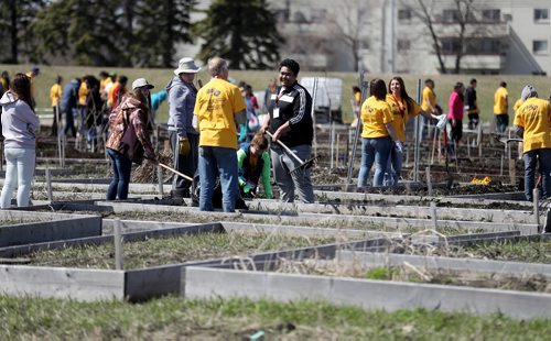 TREVOR HAGAN / WINNIPEG FREE PRESS
Around 230 Mormon youth from Winnipeg, Regina and Saskatoon gathered to assist around 60 refugee families work in the Rainbow Community Garden near the University of Manitoba, Saturday, April 29, 2017.