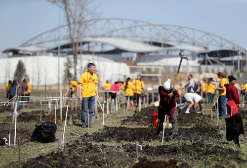 TREVOR HAGAN / WINNIPEG FREE PRESS
Around 230 Mormon youth from Winnipeg, Regina and Saskatoon gathered to assist around 60 refugee families work in the Rainbow Community Garden near the University of Manitoba, Saturday, April 29, 2017.