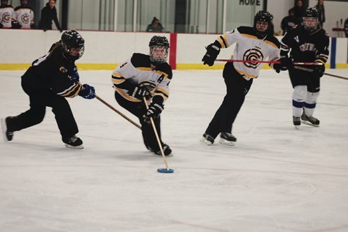 Canstar Community News April 19, 2017 - Taylor Herold (second from left to right) on the ice playing ringette at the High School Ringette Tournament. (LIGIA BRAIDOTTI/CANSTAR COMMUNITY NEWS/TIMES)