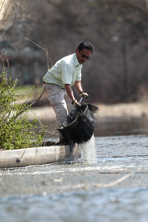 RUTH BONNEVILLE /  WINNIPEG FREE PRESS

Jaime Chavez grounds keeper with Assiniboine Park Conservancy cleans out the Duck Pond of algae to keep it out of the fountains Tuesday afternoon.  
Standup photo 
See Randy Turner's story. 


May 02, 2017