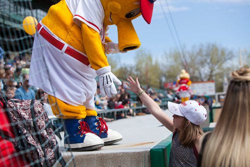 Young fan interacting with Winnipeg Goldeyes mascot Goldie at the Goldeyes Open House at Shaw Park. Saturday, May 6, 2017. Copyright Jessica Finn for the Winnipeg Free Press.