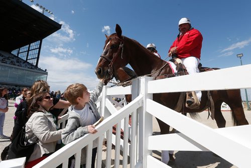 JOHN WOODS / WINNIPEG FREE PRESS
Carol and Nicholas Styles pet Dude as pony rider Joey looks on at opening day of racing at Assiniboia Downs Sunday, May 14, 2017.