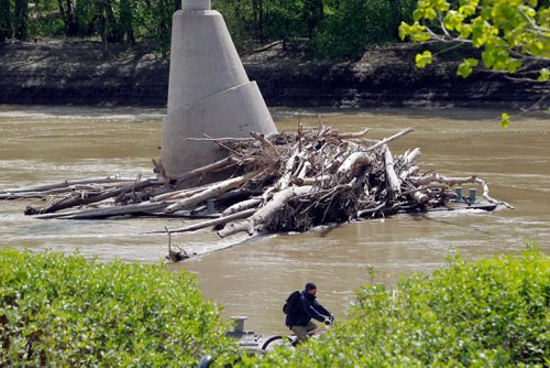 BORIS MINKEVICH / WINNIPEG FREE PRESS
Some dead fall trees pile up on the The Forks Historic Port as water levels on the Assiniboine River at the Forks. It's right along the river trail where pedestrians and cyclists go by. May 17, 2017