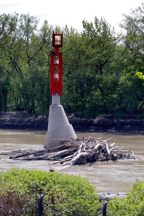 BORIS MINKEVICH / WINNIPEG FREE PRESS
Some dead fall trees pile up on the The Forks Historic Port as water levels on the Assiniboine River at the Forks. May 17, 2017
