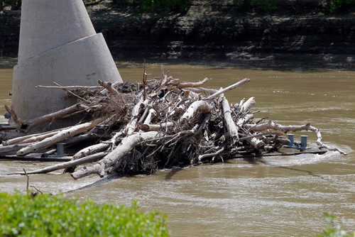 BORIS MINKEVICH / WINNIPEG FREE PRESS
Some dead fall trees pile up on the The Forks Historic Port as water levels on the Assiniboine River at the Forks. May 17, 2017