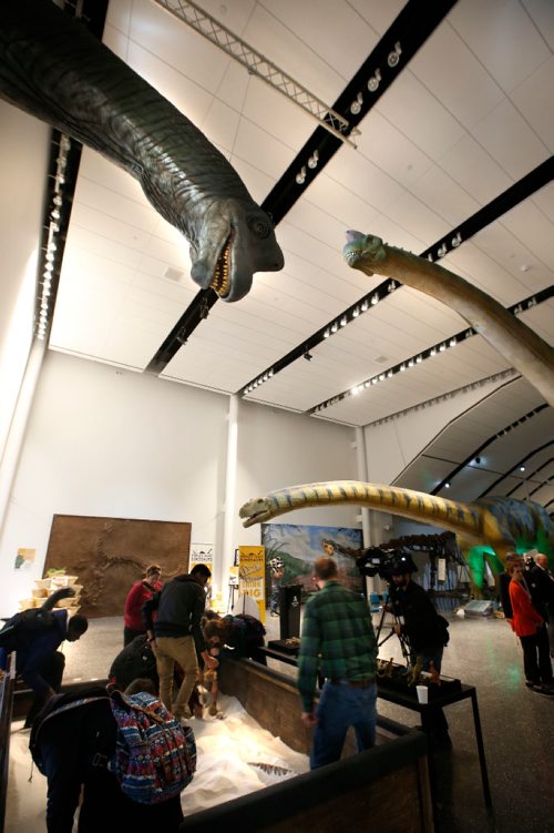 WAYNE GLOWACKI / WINNIPEG FREE PRESS

The Gobi Desert Dig Pit at the World's Giant Dinosaurs Exhibit at the Manitoba Museum that opens Friday.¤ Erin Lebar story May 18 2017