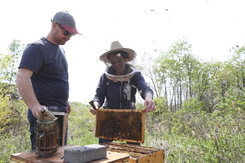 RUTH BONNEVILLE /  WINNIPEG FREE PRESS


Husband and wife beekeeper team Lindsay and Christopher Kirouac tend to their hives in Assiniboine Park. 

Subject: Lindsay and Chris Kirouac from Beeproject Apiaries have been operating an urban beehive in Assiniboine Park. They have played a huge role in helping the Assiniboine Park Conservancy spread the conservation message about pollinators. 
See Jen's story.  

May 19, 2017