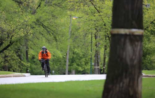 TREVOR HAGAN / WINNIPEG FREE PRESS
A cyclist rides along Wellington Crescent near Queenston Street on the first weekend of certain streets being closed to vehicles, Sunday, May 21, 2017.