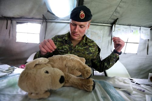 TREVOR HAGAN / WINNIPEG FREE PRESS
Private Braedan Peters working on Silver the dog, in the Field Tent at the Teddy Bear Picnic, Sunday, May 28, 2017.