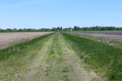 WAYNE GLOWACKI / WINNIPEG FREE PRESS

The vicinity near Noyes,Minn., about .8 KM from the Canadian border where the body of a Ghanaian woman was found. Carol Sanders May 31 2017