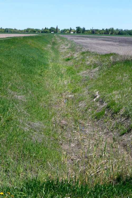 WAYNE GLOWACKI / WINNIPEG FREE PRESS
The vicinity near Noyes,Minn. about .8 KM from the Canadian border where the body of a Ghanaian woman was found. Carol Sanders May 31 2017