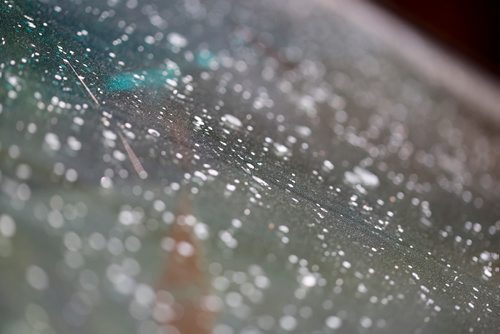 JUSTIN SAMANSKI-LANGILLE / WINNIPEG FREE PRESS
Sticky residue covering your car is a common sight when aphids are in your neighbourhood trees and plants. The insects create the sugary liquid as waste and it can attract other bugs such as ants or wasps.
170606 - Tuesday, June 06, 2017.