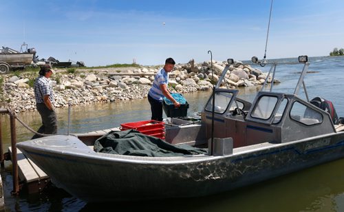 WAYNE GLOWACKI / WINNIPEG FREE PRESS
Dauphin River First Nation members and commercial fishermen Terry Stagg with ball cap and his son Daniel Stagg with their fishing boat docked near Lake Winnipeg along the Dauphin River. They were interviewed for Bill Redekop story. June 9 2017