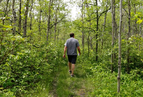 JUSTIN SAMANSKI-LANGILLE / WINNIPEG FREE PRESS
Cal Dueck walks through the Parker Wetlands woods Friday while taking the Free Press on a tour of the area. Dueck says the area could be threatened by building developments.
170609 - Friday, June 09, 2017.