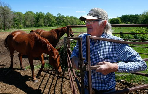 WAYNE GLOWACKI / WINNIPEG FREE PRESS

Oli Olson with his horses near his home in Peonan Point, Mb.      Bill Redekop story. June 9  2017