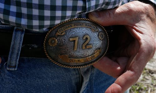 WAYNE GLOWACKI / WINNIPEG FREE PRESS

Oli Olson, a rancher in Peonan Point, shows off his belt buckle with his cattle brand, 72.     Bill Redekop story. June 9  2017