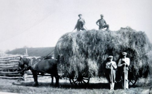 WAYNE GLOWACKI / WINNIPEG FREE PRESS

Supplied Photo. Early life on Peonan Point, stacking the hay from the feild. Bill Redekop story. June 9  2017