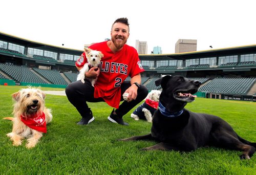 BORIS MINKEVICH / WINNIPEG FREE PRESS
Goldeyes at Shaw Park on Saturday are hosting the Bark in the Park game, wherein they are hoping to set a world record for the most dogs at a sporting event. Goldeyes pitcher Edwin Carl holds his dog named Snooks poses for a photo with, from left, Dasi, Bogey, and Rue. June 15, 2017
