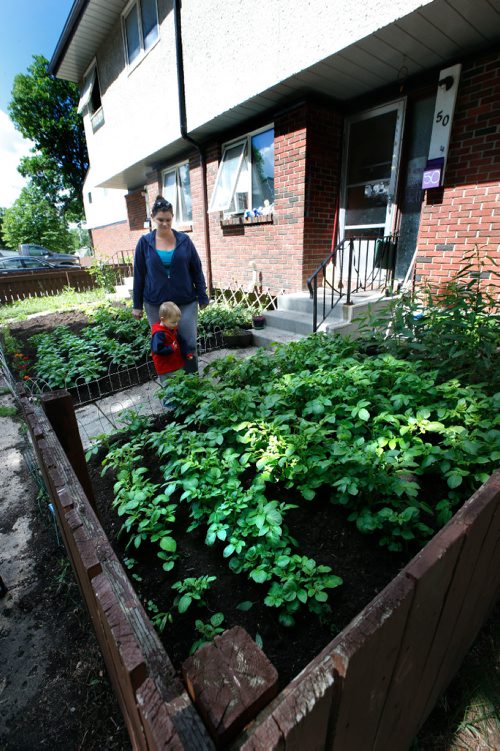 WAYNE GLOWACKI / WINNIPEG FREE PRESS

Korrina Hargreaves with her grandson Oli by her front yard garden of vegetables, herbs and flowers at her Manitoba Housing unit at 1380 Raleigh St. She and another friend at the property faced the prospect of having their flowers, herbs and vegetables ripped out because of a agency policy that prohibits planting anything but grass in front yards. Gord Sinclair story  June 19   2017
