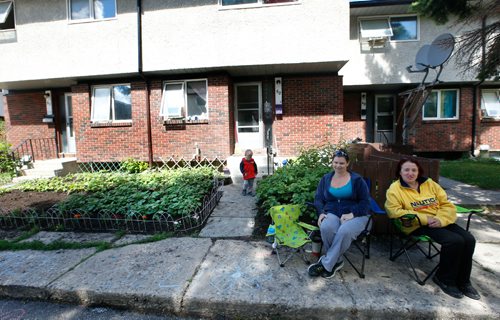 WAYNE GLOWACKI / WINNIPEG FREE PRESS

Korrina Hargreaves and her grandson Oli by her garden of vegetables, herbs and flowers in front of her Manitoba Housing unit at 1380 Raleigh St. and her friend Olga Zhbanova,right, who lives across the lane face the prospect of having their herbs and vegetables ripped out because of a agency policy that prohibits planting anything but grass in front yards.  Gord Sinclair story  June 19   2017