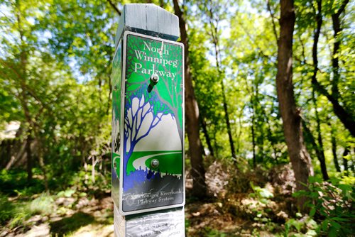 JUSTIN SAMANSKI-LANGILLE / WINNIPEG FREE PRESS
A new section of multi-use pathway connecting Point Douglas to The Forks was opened Monday following a press conference and ribbon cutting ceremony on the banks of the Red River.
170619 - Monday, June 19, 2017.