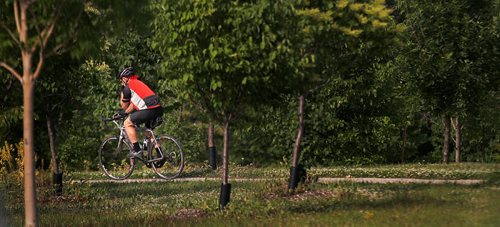 PHIL HOSSACK / WINNIPEG FREE PRESS  -   A cyclist takes a well treed "offramp" after crossing Chief Pequis trail at Gateway Chief Pequis trail Monday. See Kelly Taylor story.  -  June 19, 2017