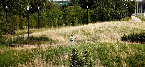 PHIL HOSSACK / WINNIPEG FREE PRESS  -   Lost in tallgrass prairie a cyclist makes her way along Chief Pequis trail Monday. See Kelly Taylor story.  -  June 19, 2017