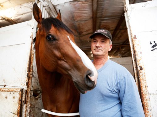 JUSTIN SAMANSKI-LANGILLE / WINNIPEG FREE PRESS
Trainer Elton Dickey and Malibu Colony pose inside the stables at Assiniboia Downs Wednesday. Dickey and the horses he works with have been on a hot streak in recent races.
170621 - Wednesday, June 21, 2017.