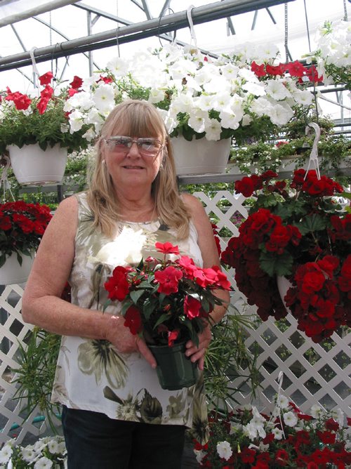 Canstar Community News June 19, 2017 - Sandra Leclerc stands next to a display of red and white flowers in hanging baskets at Leclerc Greenhouse in Headingley. (ANDREA GEARY/CANSTAR COMMUNITY NEWS)