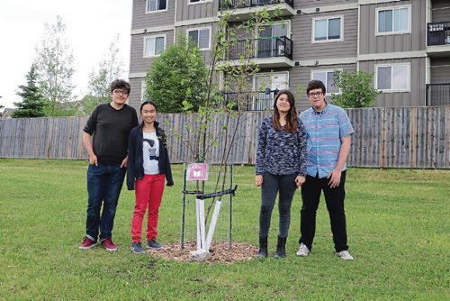Canstar Community News June 12, 2017 - West Kildonan Collegiate Sustainable Living Academy Manitoba students Tye McIvor, Christina Tran, Tatiana Schwenzer and Victor Selby. (LIGIA BRAIDOTTI/CANSTAR COMMUNITY NEWS/TIMES)