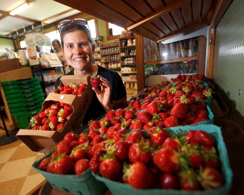 WAYNE GLOWACKI / WINNIPEG FREE PRESS

Erin Crampton owner of Cramptons Market with a sample of some of fresh strawberries at the store.  Ben Waldman story   June 29   2017