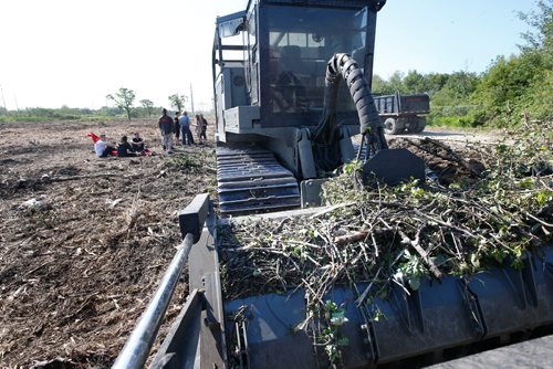 WAYNE GLOWACKI / WINNIPEG FREE PRESS

Some of the 10 protesters by a tree clearing vehicle in the Parker wetlands on Friday morning to halt clearcutting of the land, saying they are determined to stop the machines "at any cost." Ashley Prest/ intern story July 14   2017