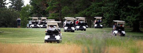 PHIL HOSSACK / WINNIPEG FREE PRESS  -  A "herd" of golf carts follow the leaders down the final fairway Thursday as the Manitoba Men's Amature Golf tournament wrapped up. Apparently specttors dont walk anymore. See Mike Sawatzsky's story.-  July 20, 2017