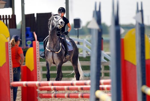 PHIL HOSSACK / WINNIPEG FREE PRESS  -   Lauren Fedoriw shows her mount "Bugatti MHS" the competition ring set up at the Red River Exhibition Park Friday for the Marcy Schweizer Memorial Fund Derby Horse Show which starts Saturday and runs through Sunday. Riders were in the ring Friday to "school" their steed's prepping for the competition. Some liked it more than others.   -  July 21, 2017