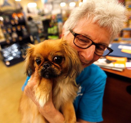PHIL HOSSACK / WINNIPEG FREE PRESS  -  Volunteer Humane Society worker Adele Walker and 1-1/2yr old Pekingese "Sam" share a moment Saturday afternoon at an adoption event being co-hosted by the Winnipeg Humane Society with one of their satellite adoption centres - Petsmart Kenaston. See story.  -  July 22, 2017