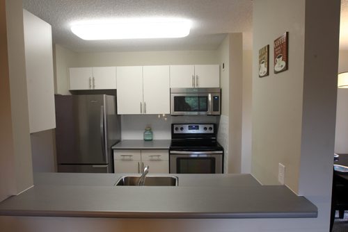 JOE BRYKSA / WINNIPEG FREE PRESS Condo-Unit 316-494 Beliveau Road- Kitchen -  July 26 , 2017 -( See Todd Lewys story)