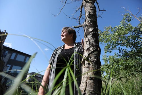 RUTH BONNEVILLE / WINNIPEG FREE PRESS

Photos of Coun. Janice Lukes
 in BRIDGWATER FOREST, stands next to dead trees in forest.  She say some of the citys forests are being killed by homeowners whove illegally drained their basement sump pumps onto adjoining forested lands. The situation seems most severe in the new Bridgwater neighbourhoods, where the portions of Bridgwater Forest are dying. 

 
See Aldo Santin
City Hall Reporter

 

July 25,, 2017