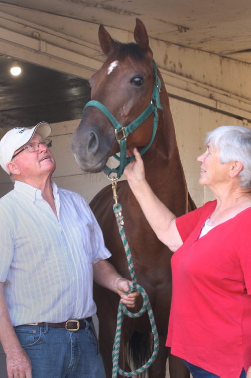 JOE BRYKSA / WINNIPEG FREE PRESSJudy Mustard and her husband Doug  5 year old mare named Shilohs Phil at Assiniboia Downs. -  July 27 , 2017 -( See Georges story)